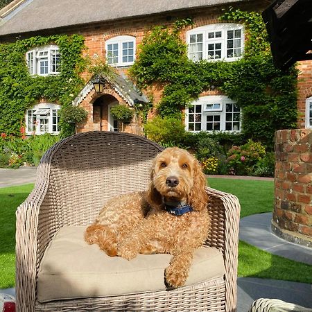 Little Woodside A Beautiful New Forest Self Contained Private Luxury Annexe Ню Милтън Екстериор снимка