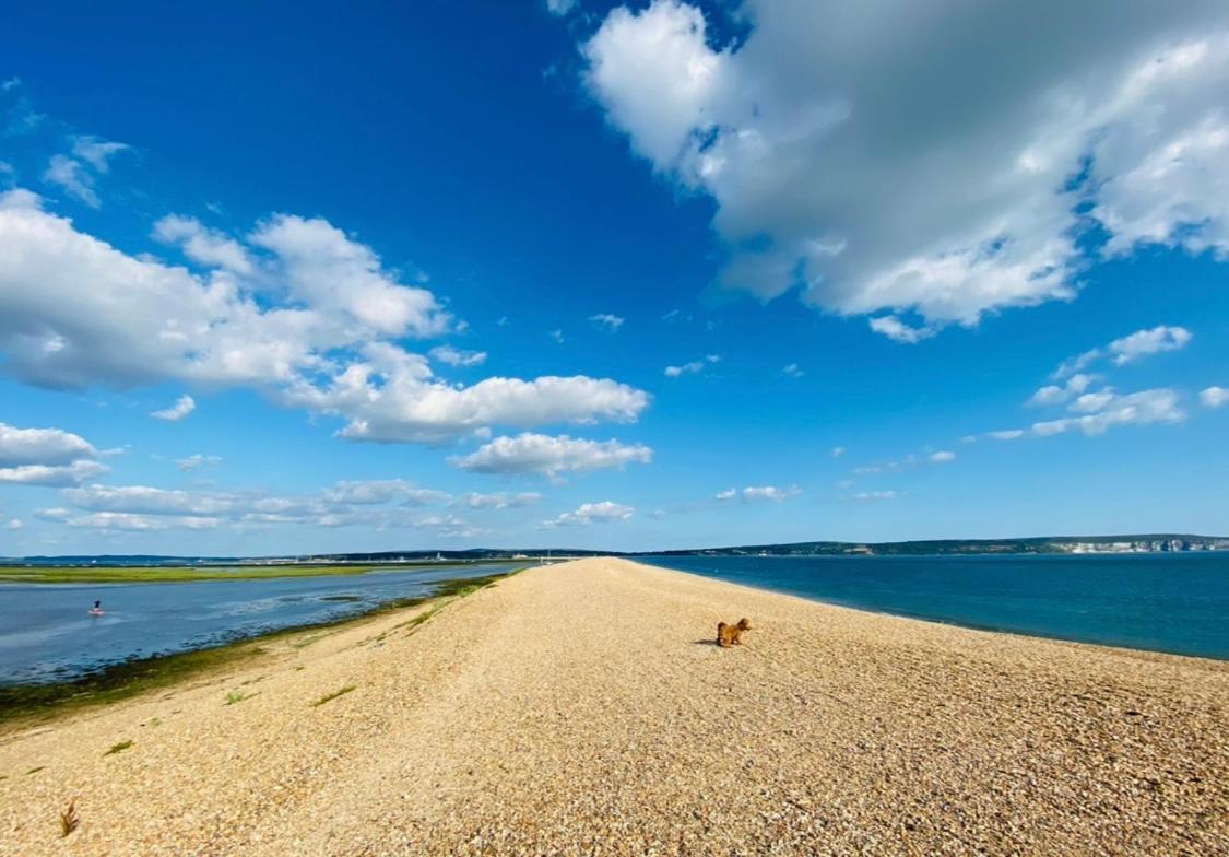 Little Woodside A Beautiful New Forest Self Contained Private Luxury Annexe Ню Милтън Екстериор снимка