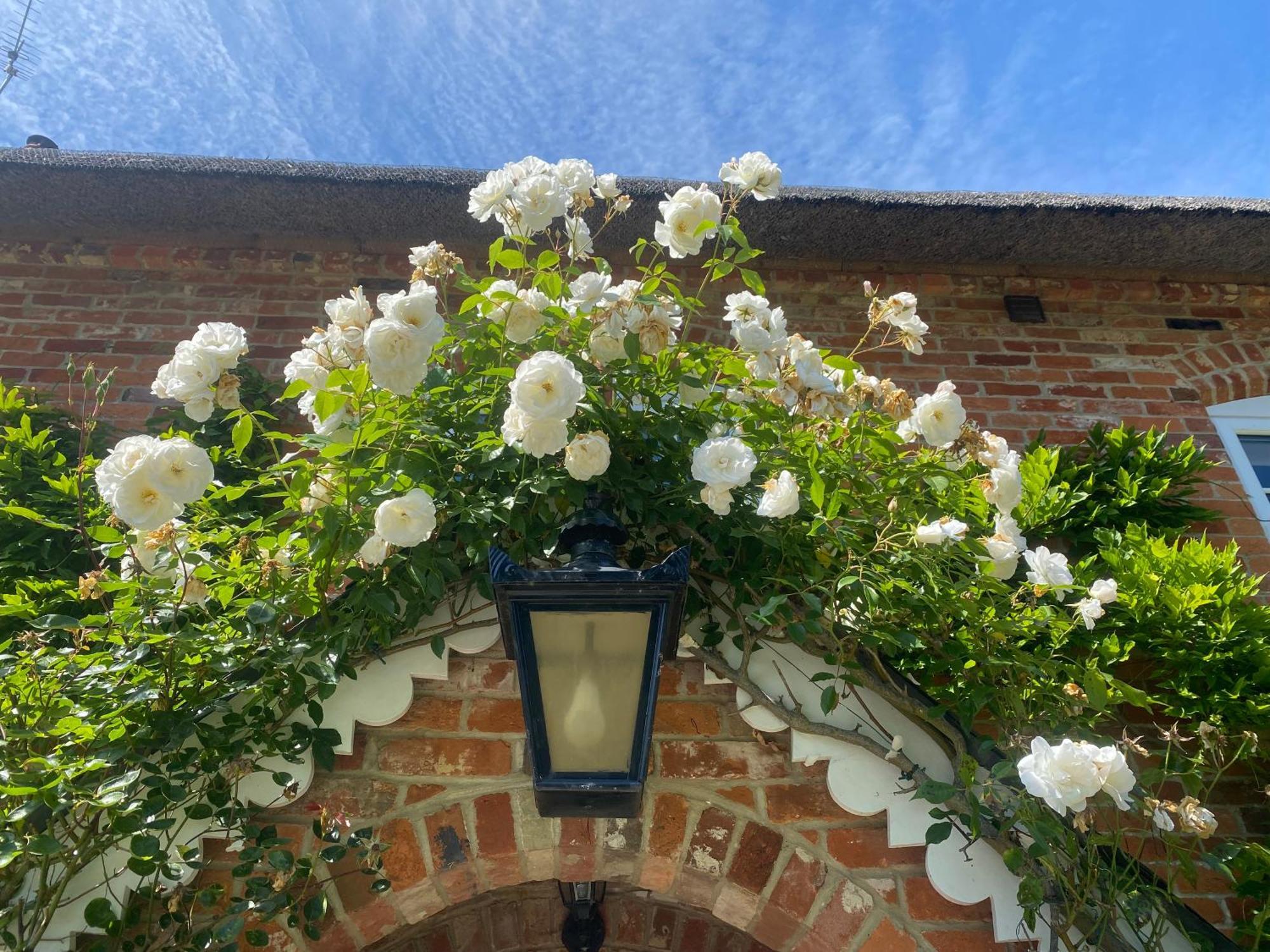Little Woodside A Beautiful New Forest Self Contained Private Luxury Annexe Ню Милтън Екстериор снимка