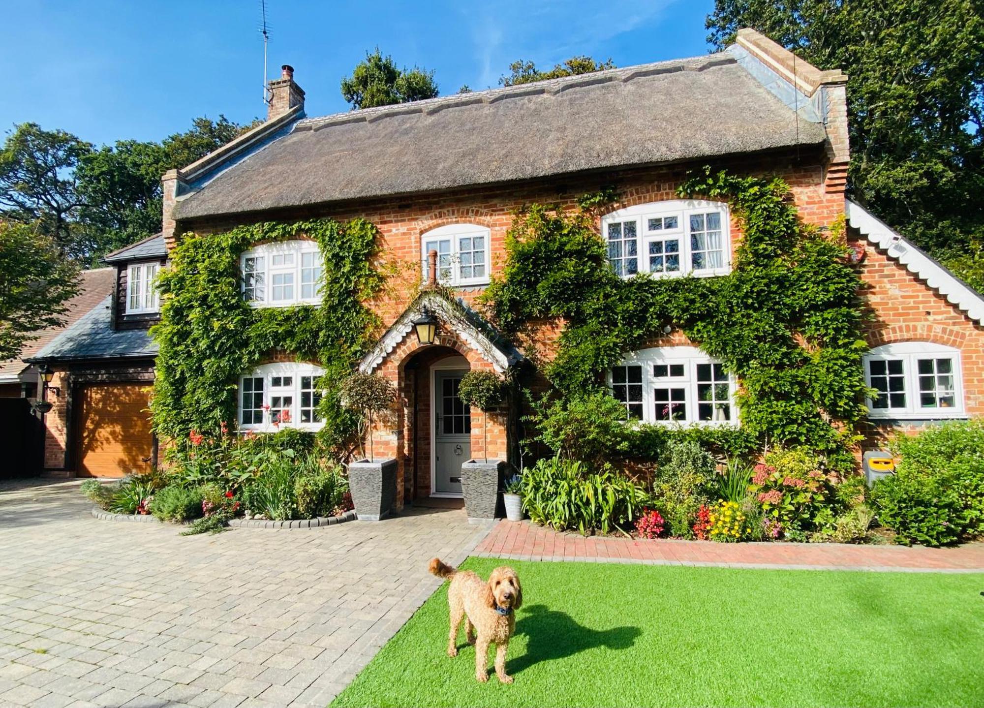 Little Woodside A Beautiful New Forest Self Contained Private Luxury Annexe Ню Милтън Екстериор снимка