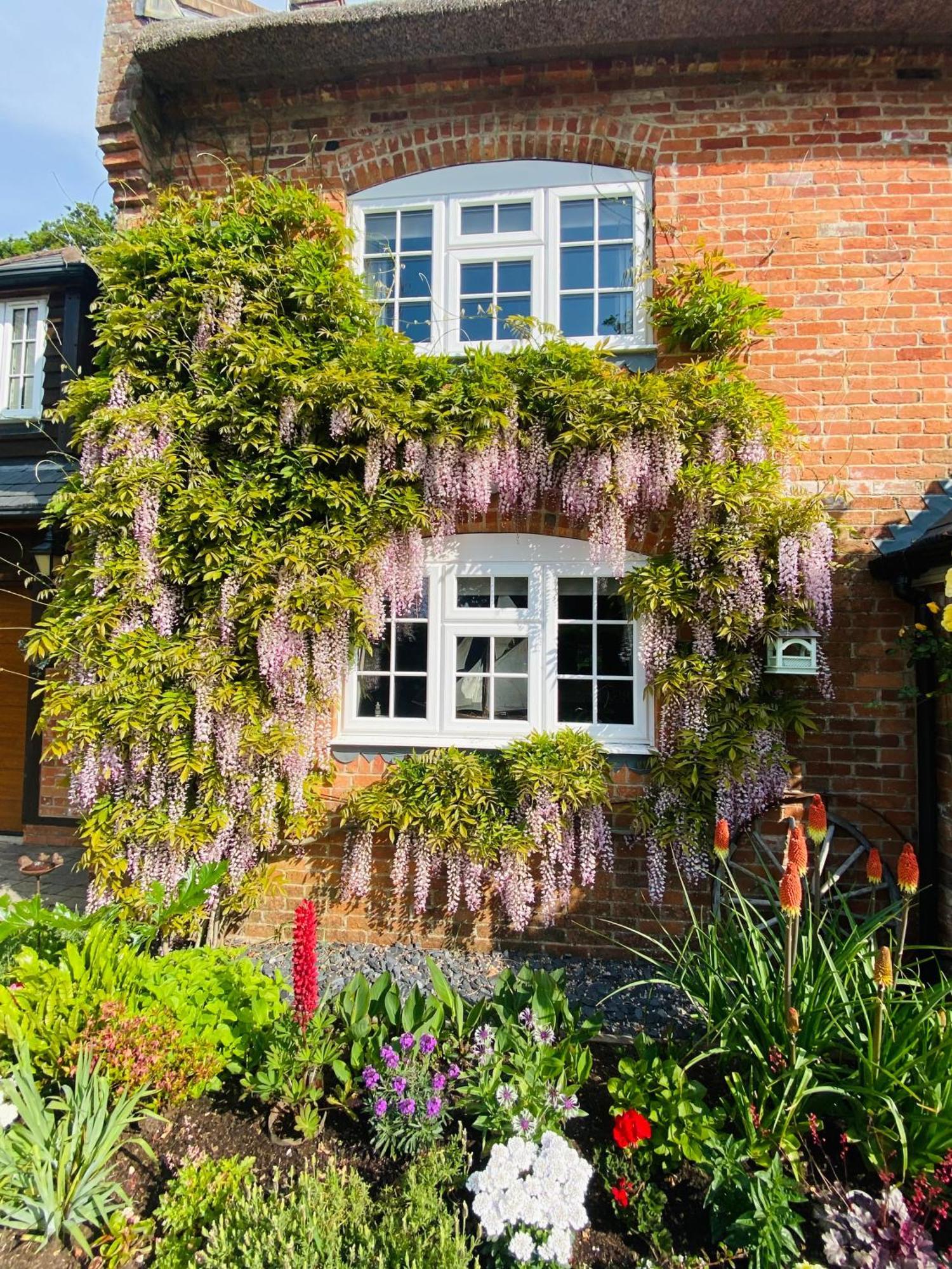 Little Woodside A Beautiful New Forest Self Contained Private Luxury Annexe Ню Милтън Екстериор снимка