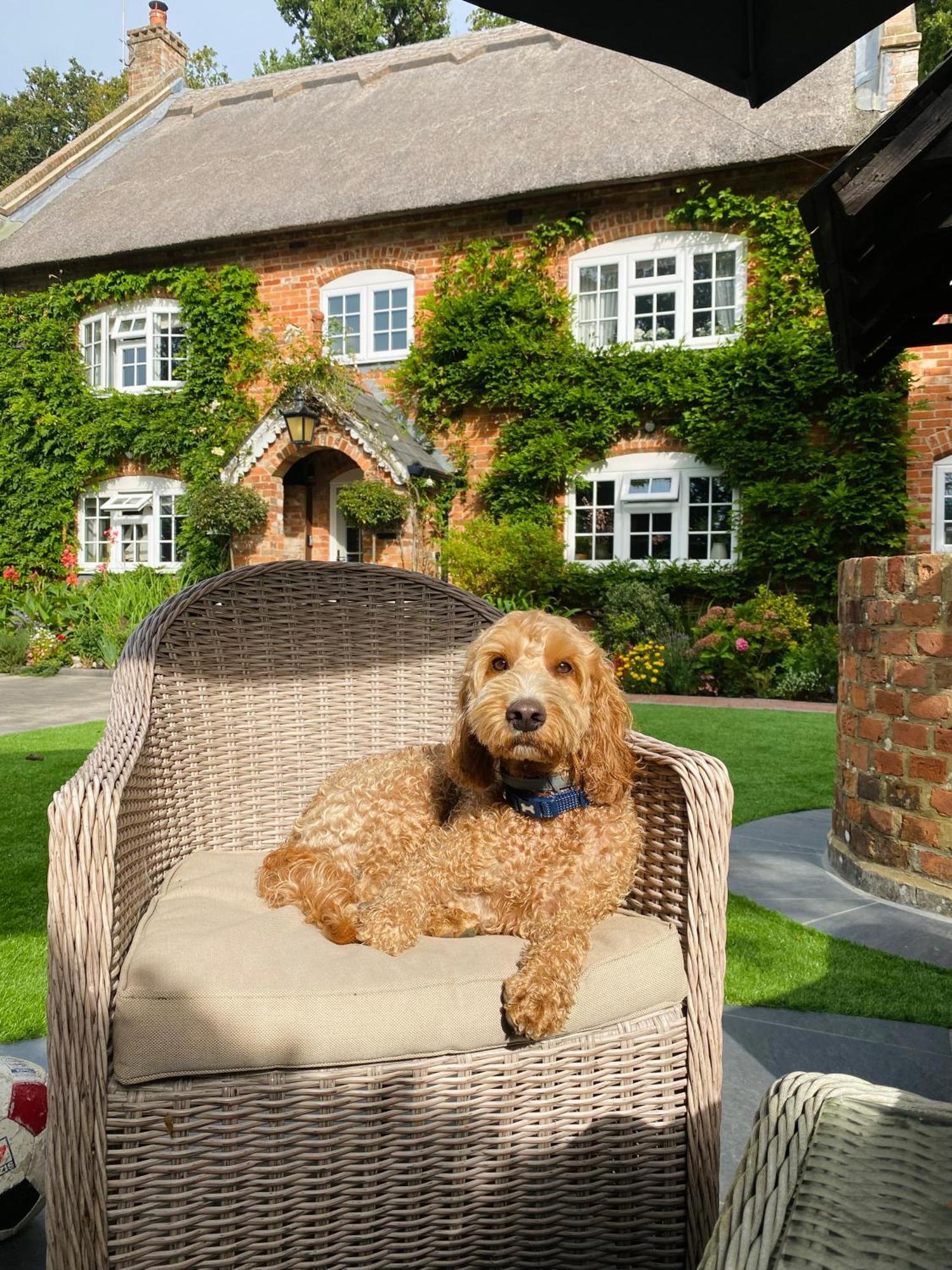 Little Woodside A Beautiful New Forest Self Contained Private Luxury Annexe Ню Милтън Екстериор снимка
