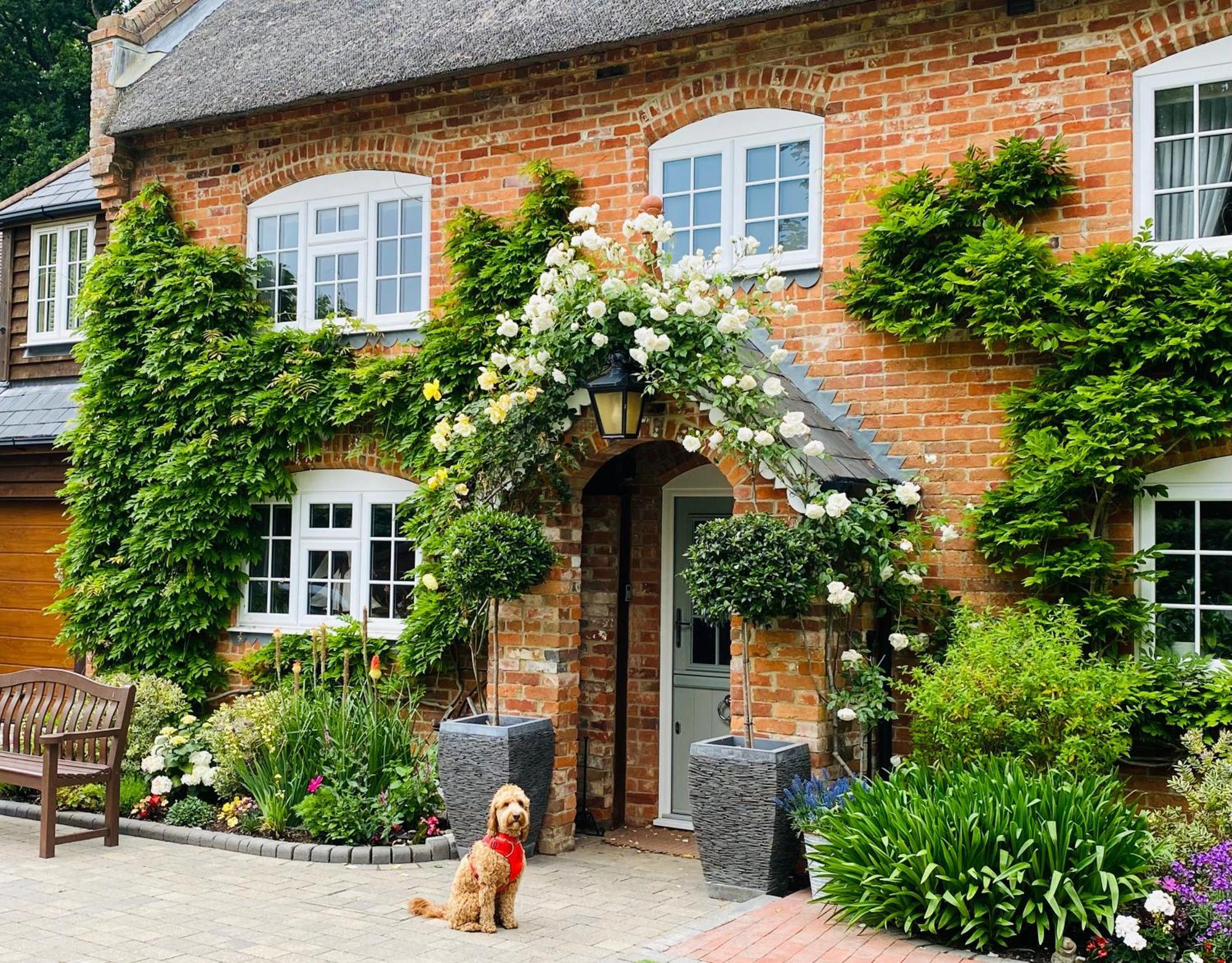 Little Woodside A Beautiful New Forest Self Contained Private Luxury Annexe Ню Милтън Екстериор снимка