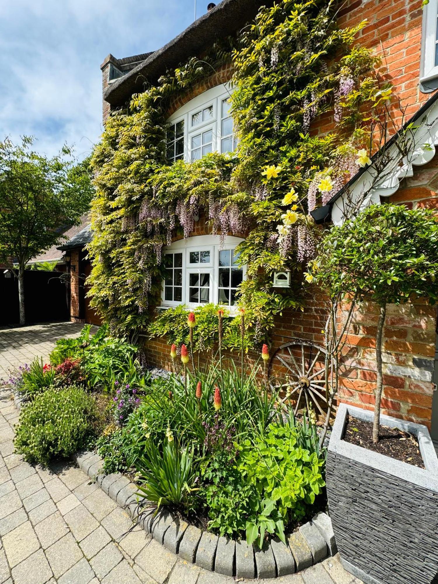 Little Woodside A Beautiful New Forest Self Contained Private Luxury Annexe Ню Милтън Екстериор снимка