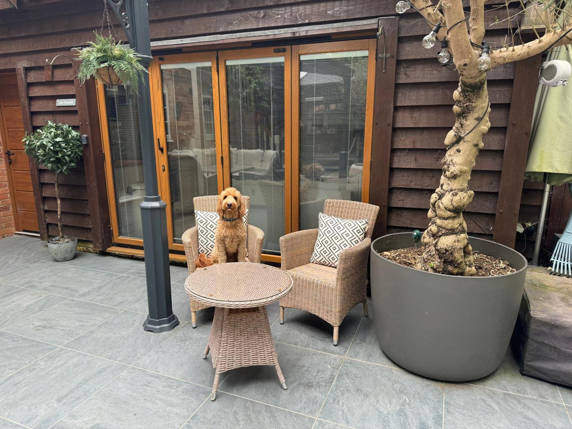 Little Woodside A Beautiful New Forest Self Contained Private Luxury Annexe Ню Милтън Екстериор снимка